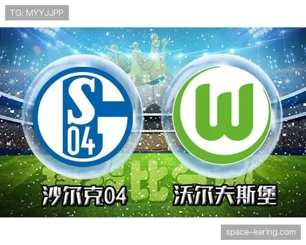 射门效率低下导致失分，沙尔克04主场0-1不敌沃尔夫斯堡